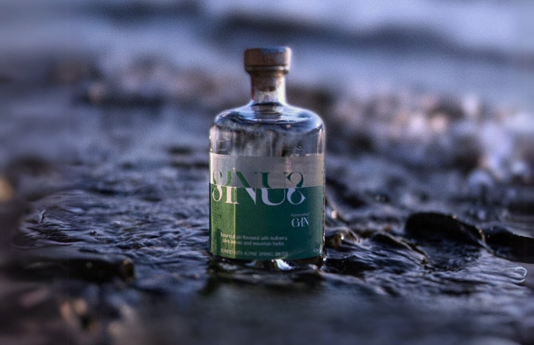 Sinus Gin — featured